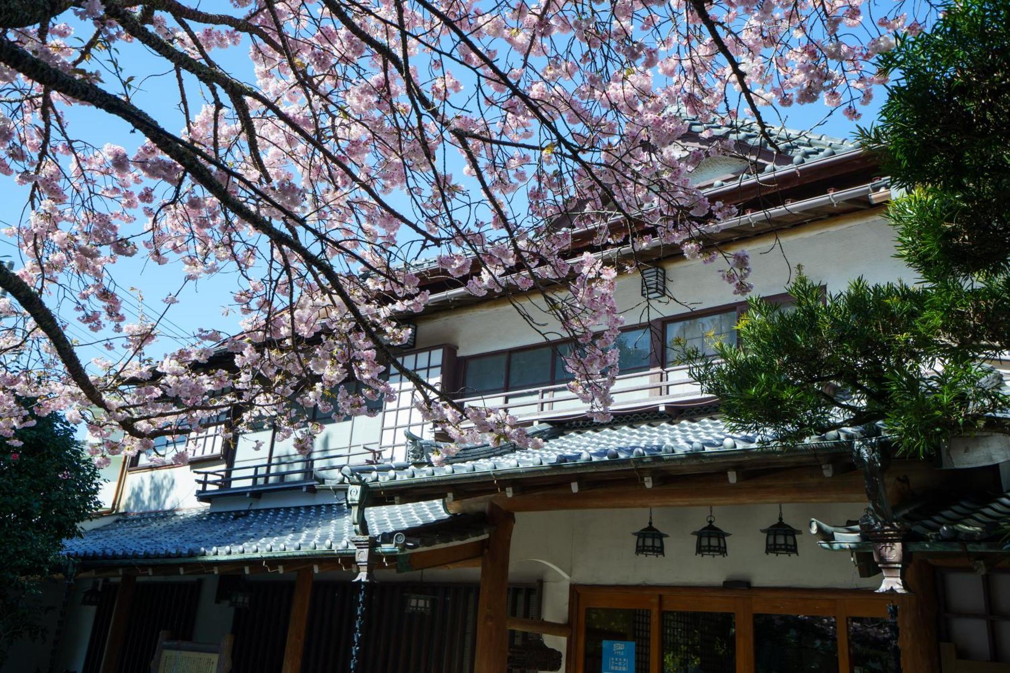 ซากาฮิจิริ เกียวกูโชเอน Hotel อิซุ ภายนอก รูปภาพ